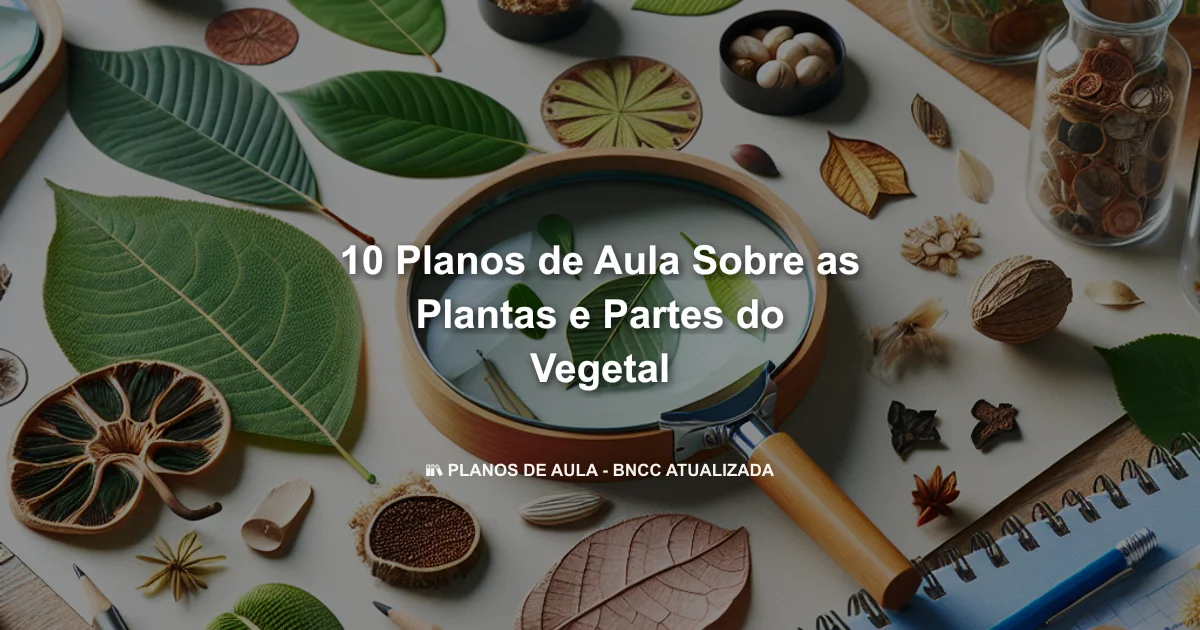 10 Planos De Aula Sobre As Plantas E Partes Do Vegetal
